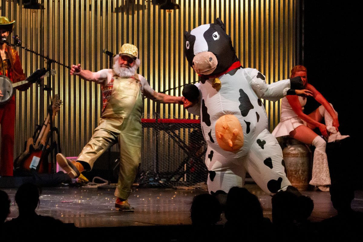 Animal Production Photo - dancing cow